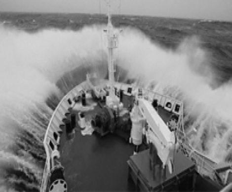 Корейский патрульный корабль вышел на помощь тонущему "Синегорью"