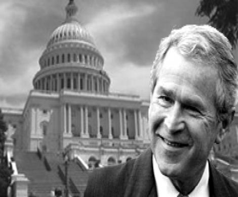Сенат поддержал Буша в борьбе с терроризмом
