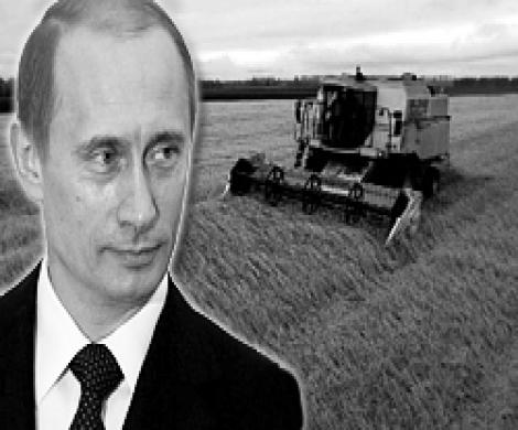 Поднимет ли Путин российский АПК?