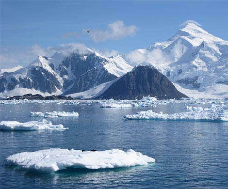 Из-за глобального потепления Камчатка может «закоптить» Гренландию