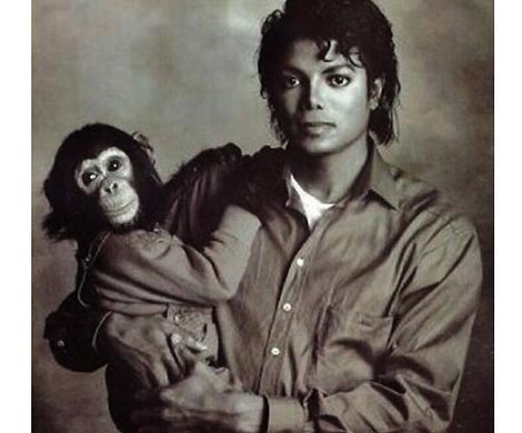 О шимпанзе Майкла Джексона снимут биографический мультфильм