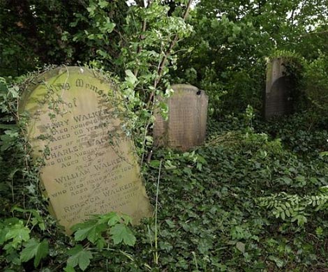 Охотники за привидениями на кладбище вместо духов обнаружили порноактеров