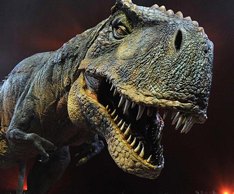 Палеонтологи рассказали о процессе исчезновения динозавров