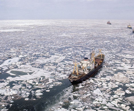 По мнению экспертов, Арктика изменяет цвет