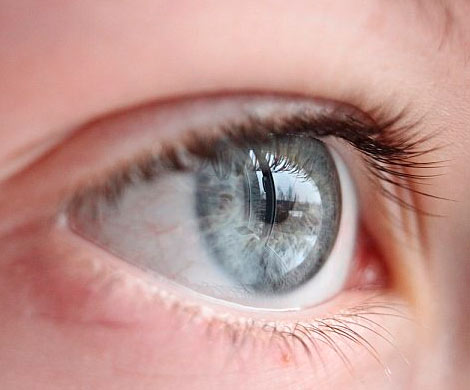 Склонность к болезням можно определить по цвету глаз