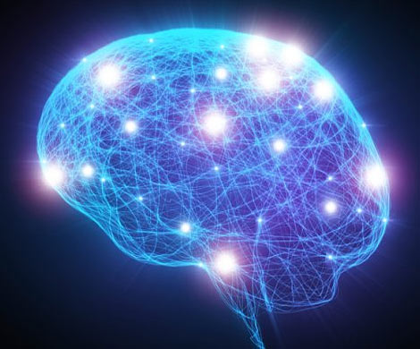 Создано новое устройство для изучения мозга