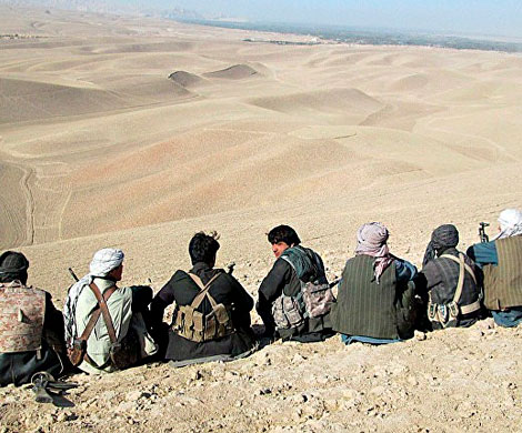 Талибан сообщает о переговорах по возможным путям к окончанию афганской войны