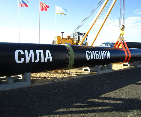 У «Газпрома» появились планы замаскировать «Силу Сибири»