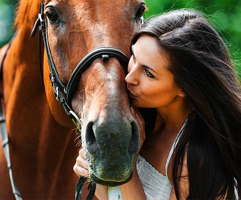 Ученые научили лошадей "говорить" с людьми