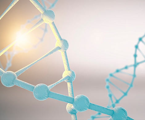 Ученым удалось «воскресить» ДНК 200-летнего человека