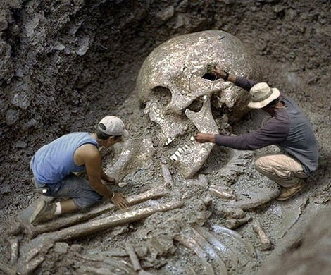 В Британии изучили останки древнего великана