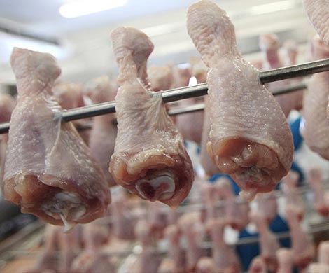 В курином мясе обнаружен смертельно опасный вирус-мутант