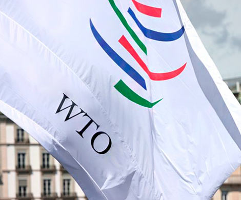 В Минэкономразвития допускают новый спор в ВТО