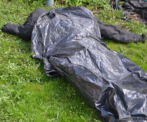 В Подмосковье обнаружили пролежавшее в лесу 9 месяцев тело мужчины