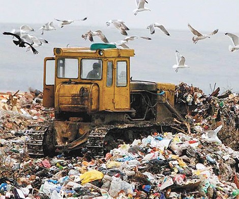 Высокие тарифы на мусор заставляют многодетную семью отказаться от детей: депутат рассказал об «особенностях» реформы