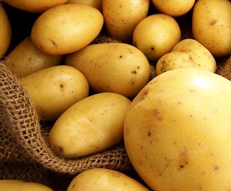 Экстракт картофеля защищает от ожирения