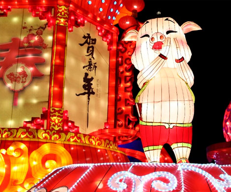Жители Китая встретили год Желтой свиньи