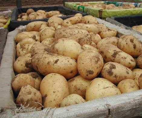 5 лучших продуктов от гипертонии