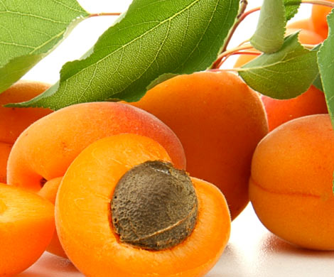 6 продуктов, которые обязательно должны есть все кормящие мамы