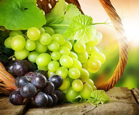 7 лучших продуктов для поддержания красоты и молодости кожи
