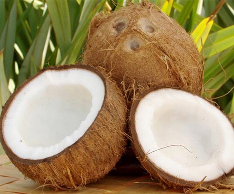 7 продуктов, защищающих организм от паразитов