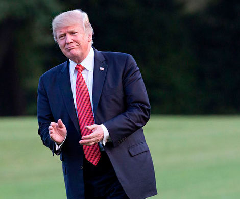 Адвокат Трампа рассказал о расчетах с порноактрисой