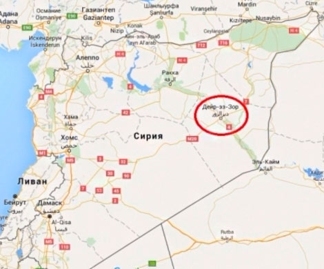 Аль-Багдади может скрываться в сирийской провинции Дейр-эз-Зор