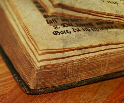 Американец вернул библиотечную книгу спустя столетие 