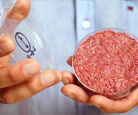 Американская компания Memphis Meats создала искусственное куриное мясо