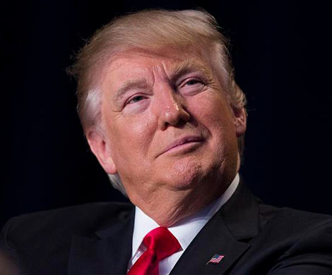 Американский галерист изобразил Трампа в виде гигантской крысы