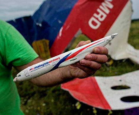 Амстердам и Куала-Лумпур допускают вину Киева в крушении МН-17