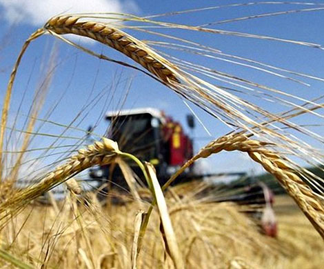 Анкара может закрыть рынок для российских аграриев