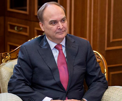 Антонов назвал «российское вмешательство» черной кошкой
