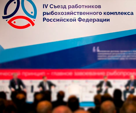 Аркадий Дворкович:  Исторический принцип в распределении квот на краба должен оставаться главным