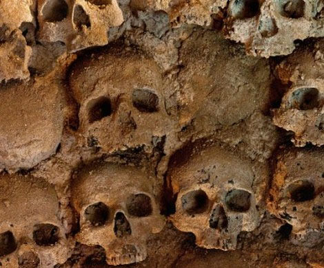 Археологи нашли массовые захоронения жертв неизвестной болезни