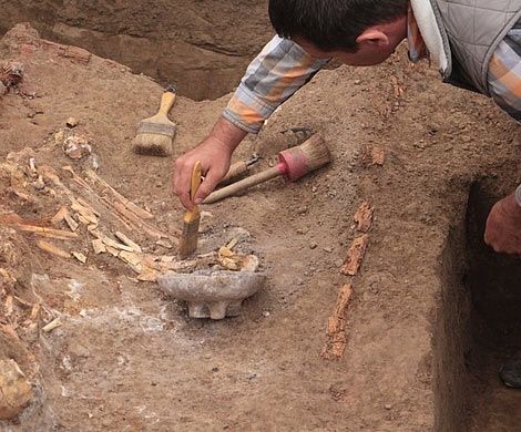 Археологи нашли в Турции антидепрессанты возрастом 1400 лет