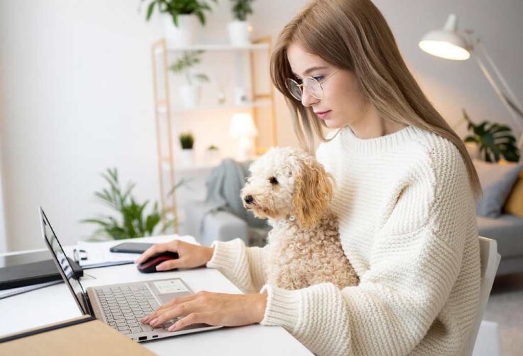 Аудио-уроки помогают новичкам легче начать изучение английского языка