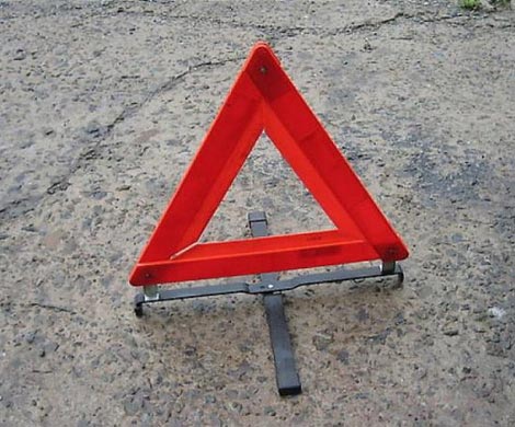 Автомобиль упал в болото в Москве, один человек погиб‍