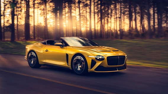 Bentley представила спортивную машину за $2 млн с отделкой из древесины возрастом пять тысяч лет