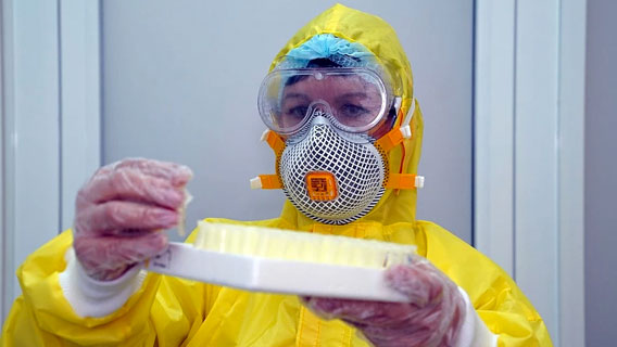 Британские учёные попытаются выявить причины различных реакций организма на коронавирус