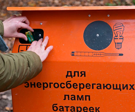 Бытовой мусор сортирует каждый четвертый россиянин 