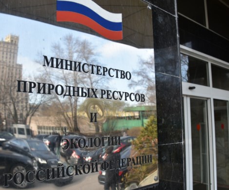 Цены снова вырастут и дело не в НДС: Минприроды тоже подстегивает рост цен