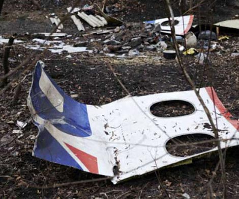 Часть изъятых у журналистов материалов по MH17 может быть удалена