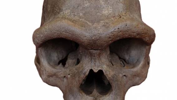Череп "Человека-Дракона" проливает свет на тайну денисовцев