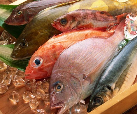Четыре продукта, способные превратить обычного человека в гения