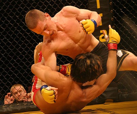 Что такое Mixed Martial Arts или MMA