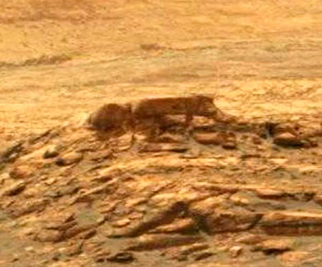 Curiosity нашел на Марсе мертвого черного гуманоида
