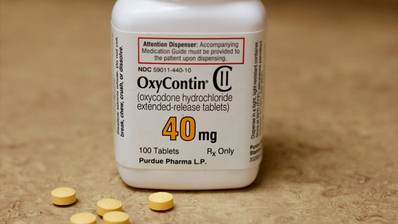 Дело об откатах от фармкомпаний: компания Purdue является неизвестной компанией «Pharma Co. X»