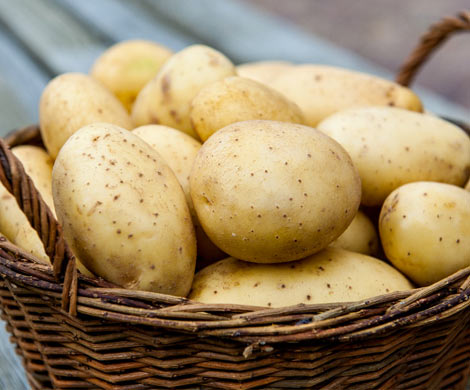 Десять продуктов, от употребления которых стоит отказаться