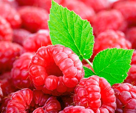 Диетологи назвали 5 лучших продуктов для тех, кто все время хочет есть
